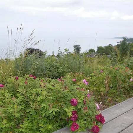 Seetje - 200m From The Sea By Interhome Allinge-Sandvig